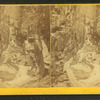 Visitors at the Flume, 1867.