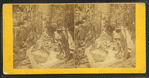 Visitors at the Flume, 1867.