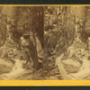 Visitors at the Flume, 1867.