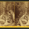 Visitors at the Flume, 1868.