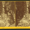 Visitors at the Flume, 1Sept. 1869.