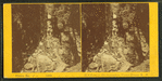 Visitors at the Flume, 1Sept. 1869.