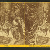 Visitors at the Flume, 1869.