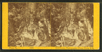 Visitors at the Flume, 1869.
