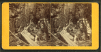 Visitors at the Flume, 1870.