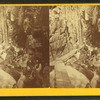 Visitors at the Flume, 1871.