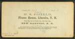 Visitors at the Flume, 1871.