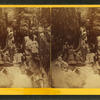 Visitors at the Flume, 1871.