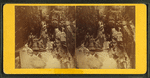 Visitors at the Flume, 1871.