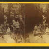 Visitors at the Flume, 1871.