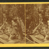 View of the Flume, 1872.