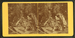 View of the Flume, 1872.