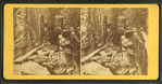 View of the Flume, 1872.