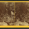 Visitors at the Flume, 1873.