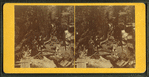 Visitors at the Flume, 1873.