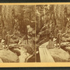 Visitors at the Flume, 1875.