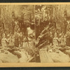 Visitors at the Flume, 1875.