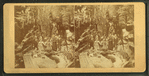 Visitors at the Flume, 1875.
