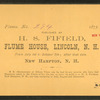 Visitors at the Flume, 1875.