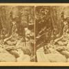 Visitors at the Flume, 1875.