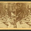 Visitors at the Flume, 1875.