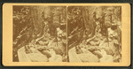 Visitors at the Flume, 1875.