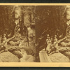 Visitors at the Flume, 1875.