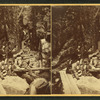 Visitors at the Flume, 1876.