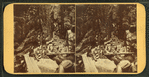 Visitors at the Flume, 1876.