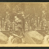 View of the Flume, 1877.