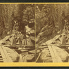 Visitors at the Flume, 1879.