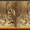 Visitors at the Flume, 1880.