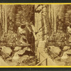 Visitors at the Flume, 1880.
