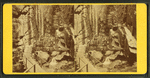 Visitors at the Flume, 1880.