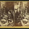 Visitors at the Flume, 1869.