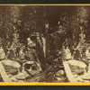 Visitors at the Flume.
