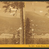 Profile House, Franconia Notch, N.H.