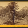 View in Franconia Notch, Autumn.