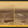 View from Goodenough's, Franconia.