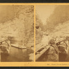 Pool from below, Franconia Notch, N.H.