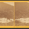 Profile House, from the Bridle Path, Franconia Notch, N.H.