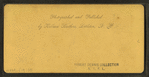 Flume below the Boulder, Franconia Notch, N.H.