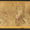 Flume below the Boulder, Franconia Notch, N.H.