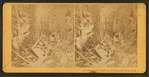 Flume below the Boulder, Franconia Notch, N.H.