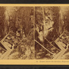 Flume below the Boulder, Franconia Notch, N.H.