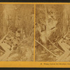Flume below the Boulder, Franconia Notch, N.H.