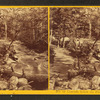 Cascade below the Flume, Franconia.