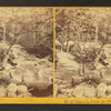Cascade below the Flume, Franconia.