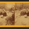 Basin, Franconia Notch, N.H.