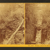 Flume above the Boulder, Franconia, N.H.
